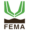 FEMA标定